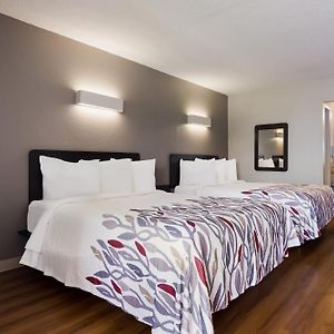 Chambre de Luxe Lit Queen-Size avec Accès aux Personnes Handicapées